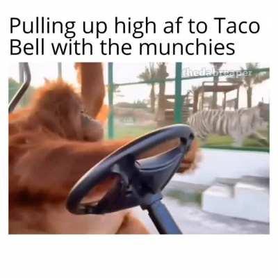 Mannn hold up DJ Chalupa!