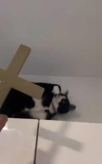 How to stop a deamon-process