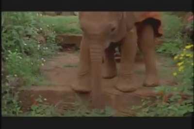 Tiny baby scared to take a step