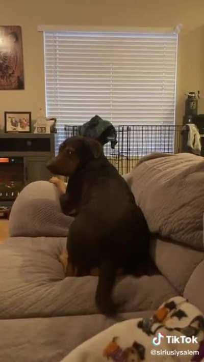 Wait until you see his fit...😂