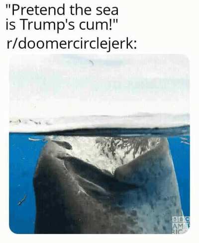 I hate doomers as much as the next guy, but please get the convicted felon and probable child predator's dick out of your mouth.