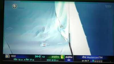 Should we bow ? Yeah , he's a king 👑