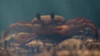 Simulated Caustics with Geometry Nodes