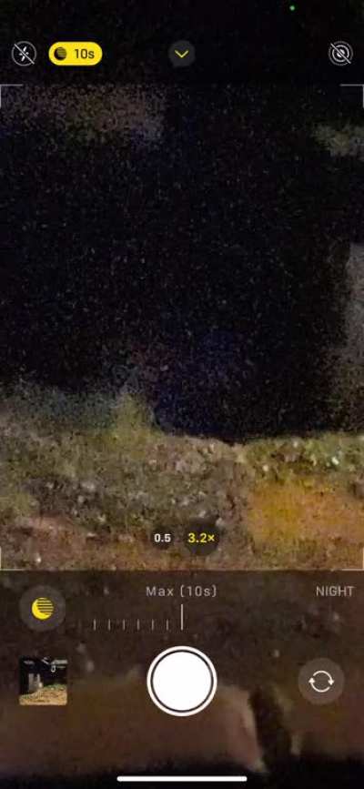 ITAV of a white skunk outside of my house at midnight