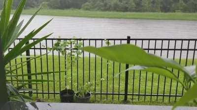 Florida summer rain is bliss in the morning
