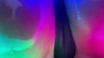 Closeup jiggles [OC]