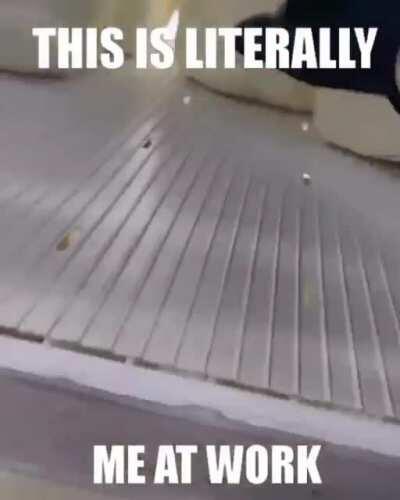 This is literally me at work