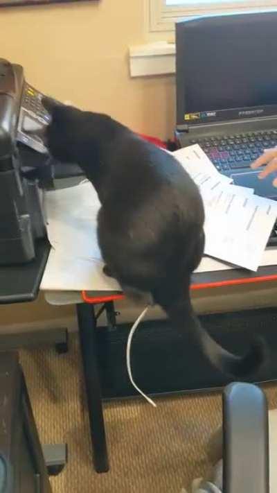 Bad office assistant