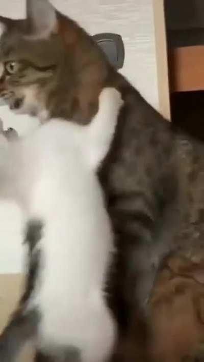 Он же ребенок