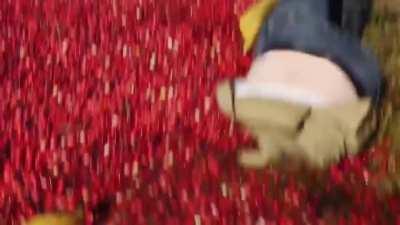 Sorry Can't cross post so here a clip from r/Whatcouldgowrong