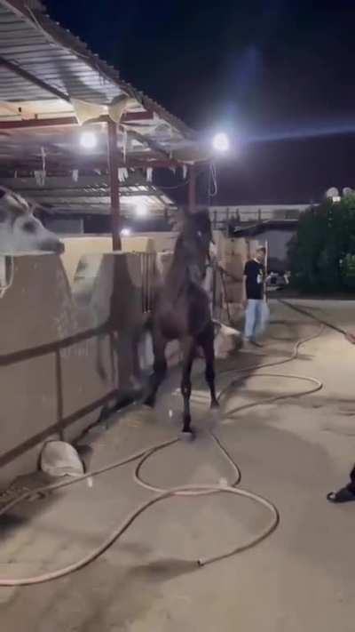 You know what…on second thought