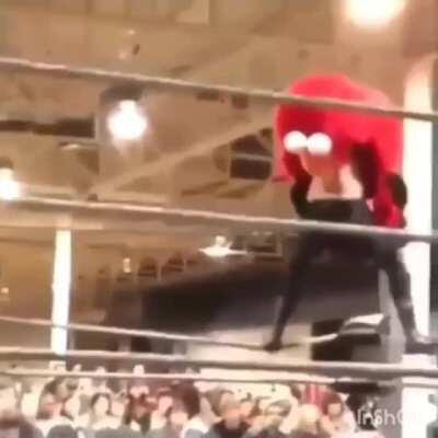 HMFT after wrestling Elmo
