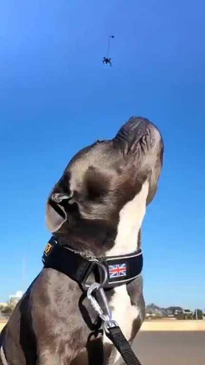 Is that person gonna be okay?