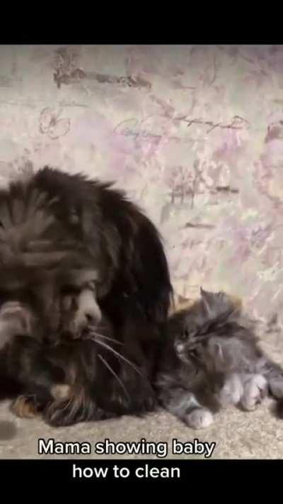 Ишь ты как мудрёно.