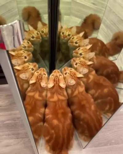 I'd like to enter that dimension.