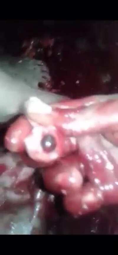 Jesus...(Warning: Very Graphic)