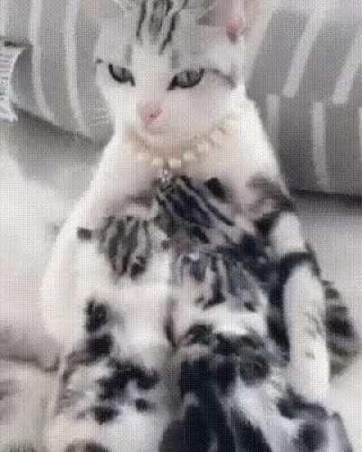 Гламурррная мамочка