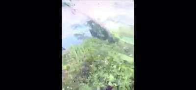 Me when the accursed illusionist casts distort reality (I wasn’t able to break free)