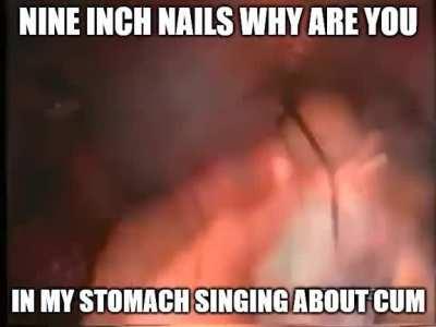 trent why would you do this