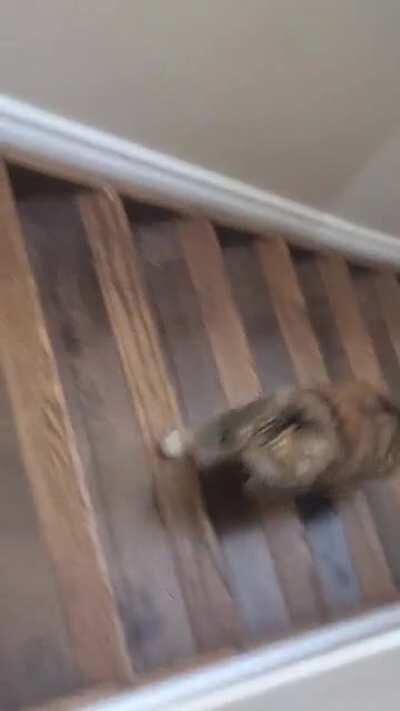 Yelling up the stairs is a new one for her