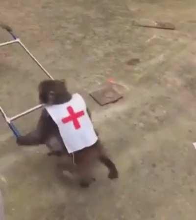 Ey Yo, What the fuck!