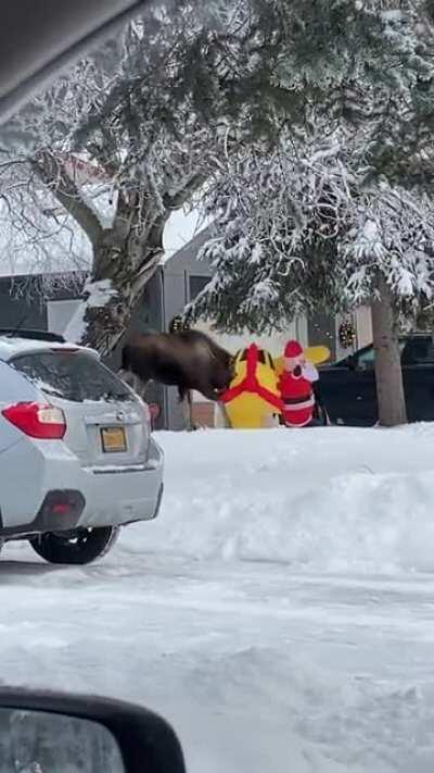 Can't even put out Christmas decorations with some jerk destroying them.