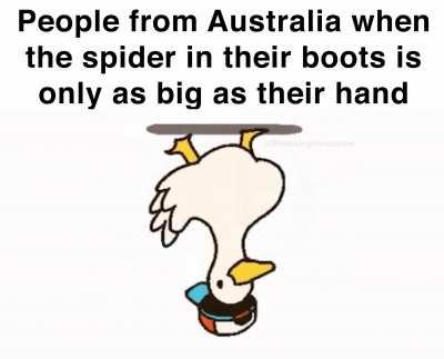 Australia is the big and scary animals continent
