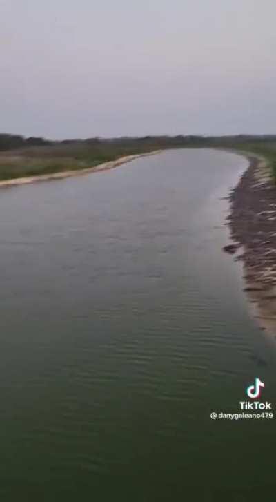 My man ain’t affraid of anything. 😦