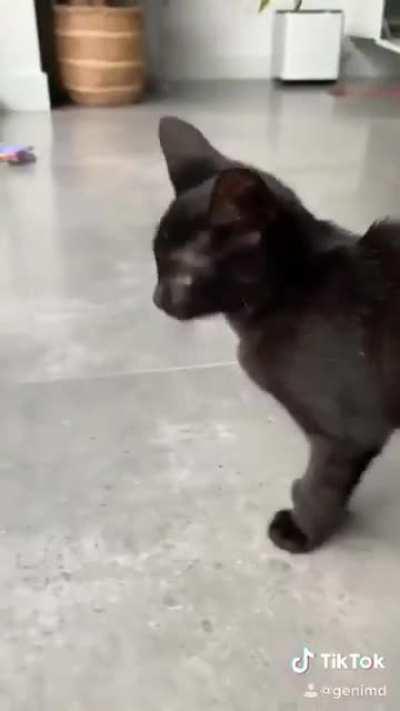 Compilation of Finn’s broken speaker