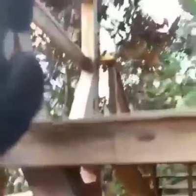 Aynı ortak ataların çocuklarıyız