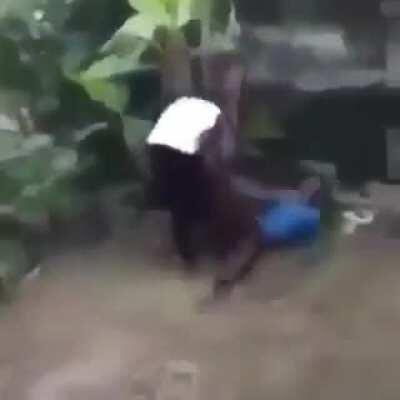 my favourite fight ever