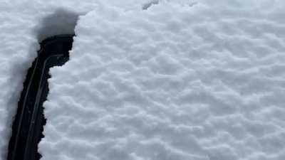 The way snow lines up after door is closed