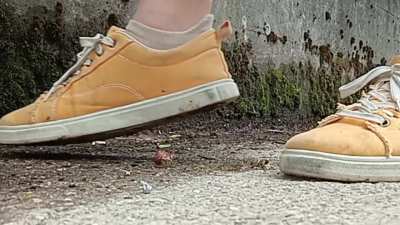 Quarterfinal: Yellow Vans v/s Trekkingshoes