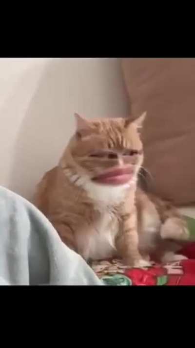 Well there's an imposter..