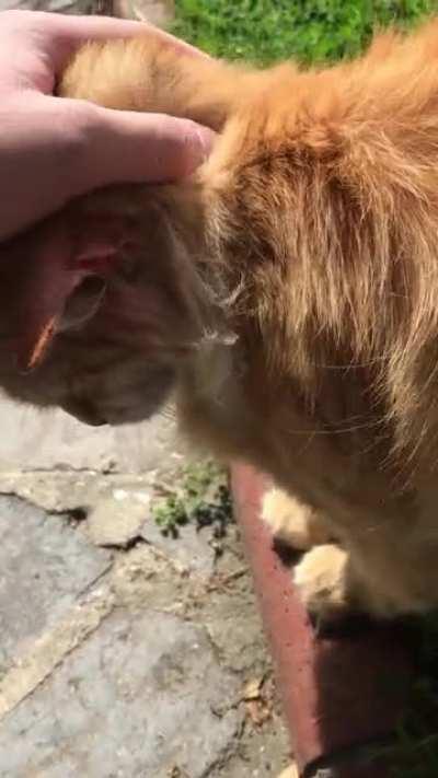 I have been away from him for 2 months due to lockdown and he was not happy with me.