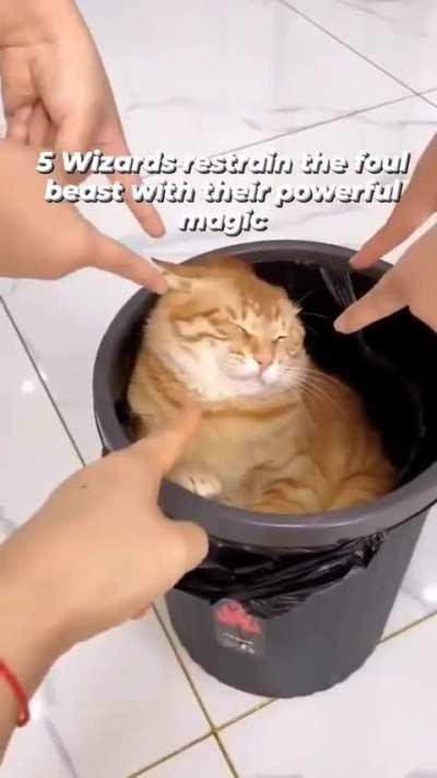 The beast is escaping its seal!