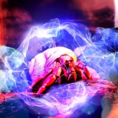 Made a gif of my roommate's crab, Lenny Krabitz.