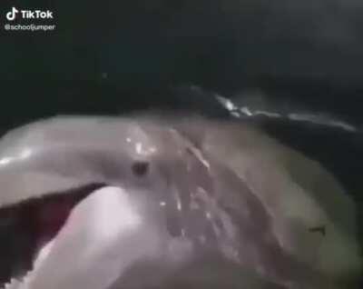 I’m 15 and this is yeet