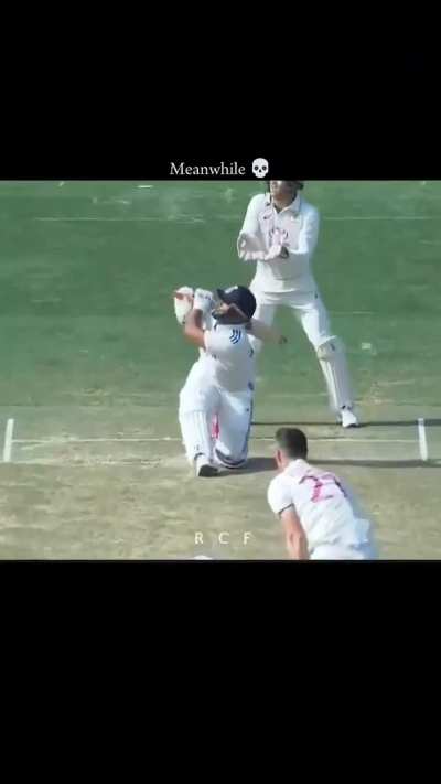 Splendid splendid splendid