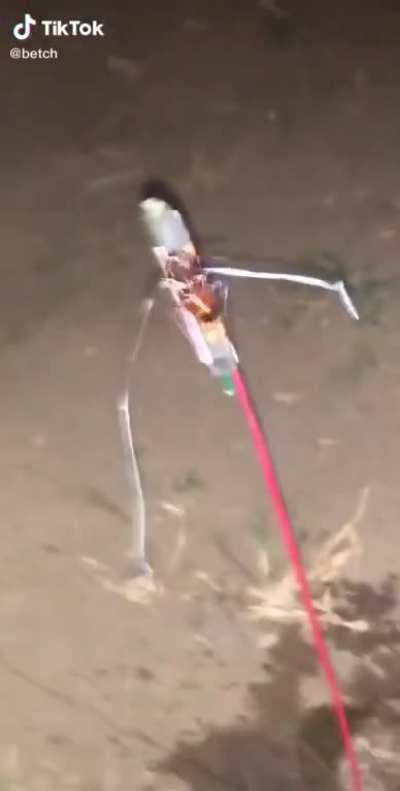 Leaked footage of the first manned Starship flight, 2022 (colorized)