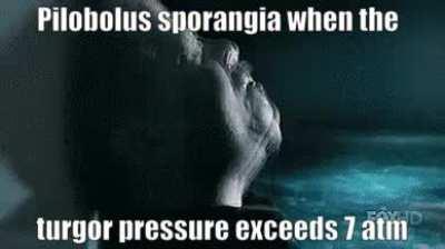 What 20,000 g does to a mf