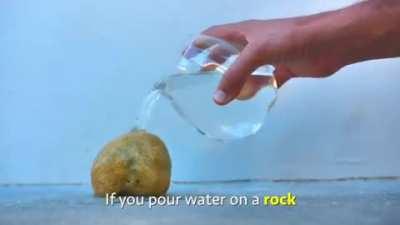 if you pour water on a rock