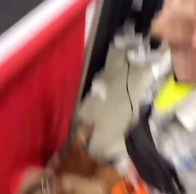 XL bully dog attacks judge at dog show