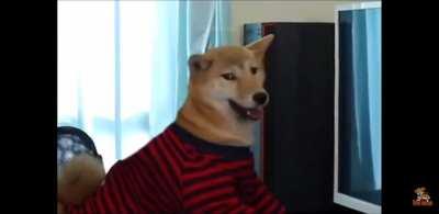 How paper hands be acting in this dip....