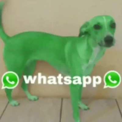 Whatsapp🤣🤣🤣🤣