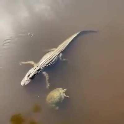 Дай пятюню, бро