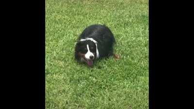 Gus kinda be vibin tho 😳😳😳😳😳😳