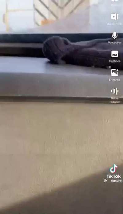 US military taking its job very seriously.