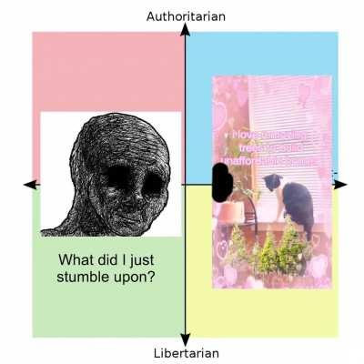 To preppy to be political lulz