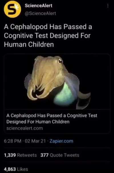 This is a good day for the Splatooniverse.